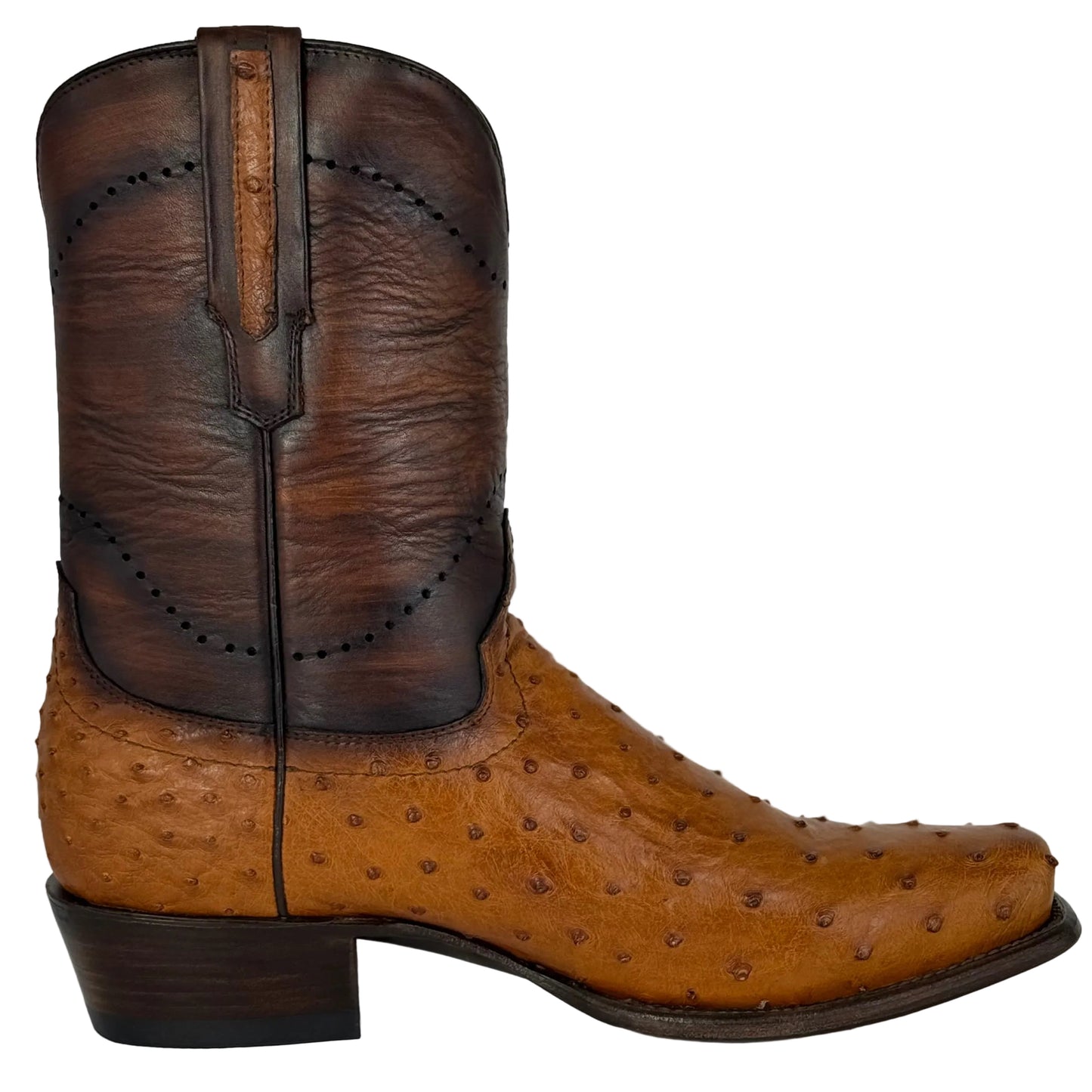 COWBOY AVESTRUZ COÑAC NEVADA