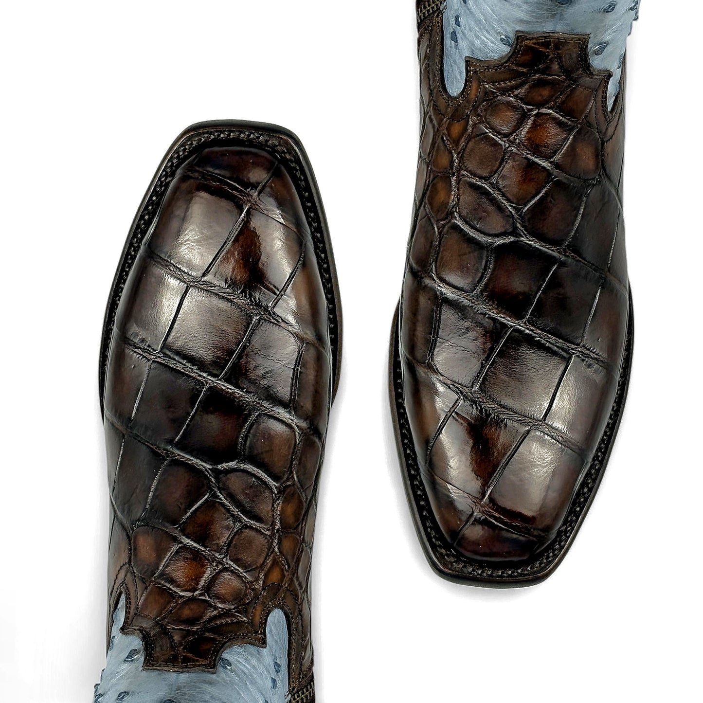 INVASOR FULL BROWN BLUE ALLIGATOR / AVESTRUZ FRANCESA