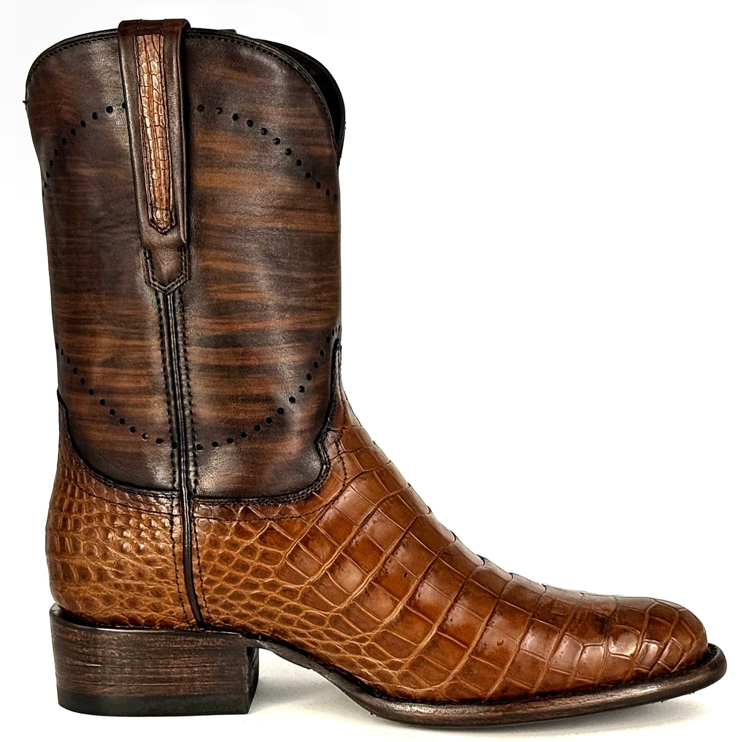 COWBOY PANZA DE LAGARTO SIAMÉS