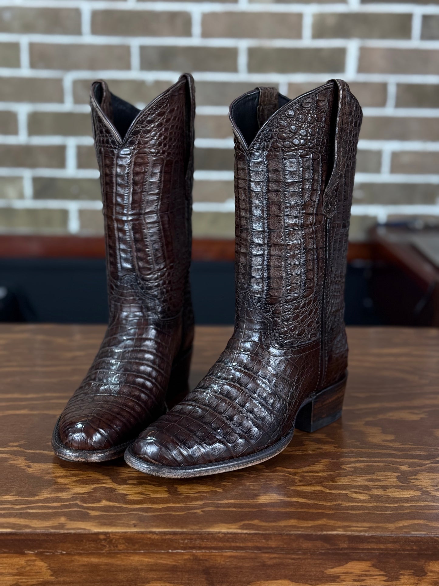 Bota Cowboy Caimán Fuscus Full Tabaco