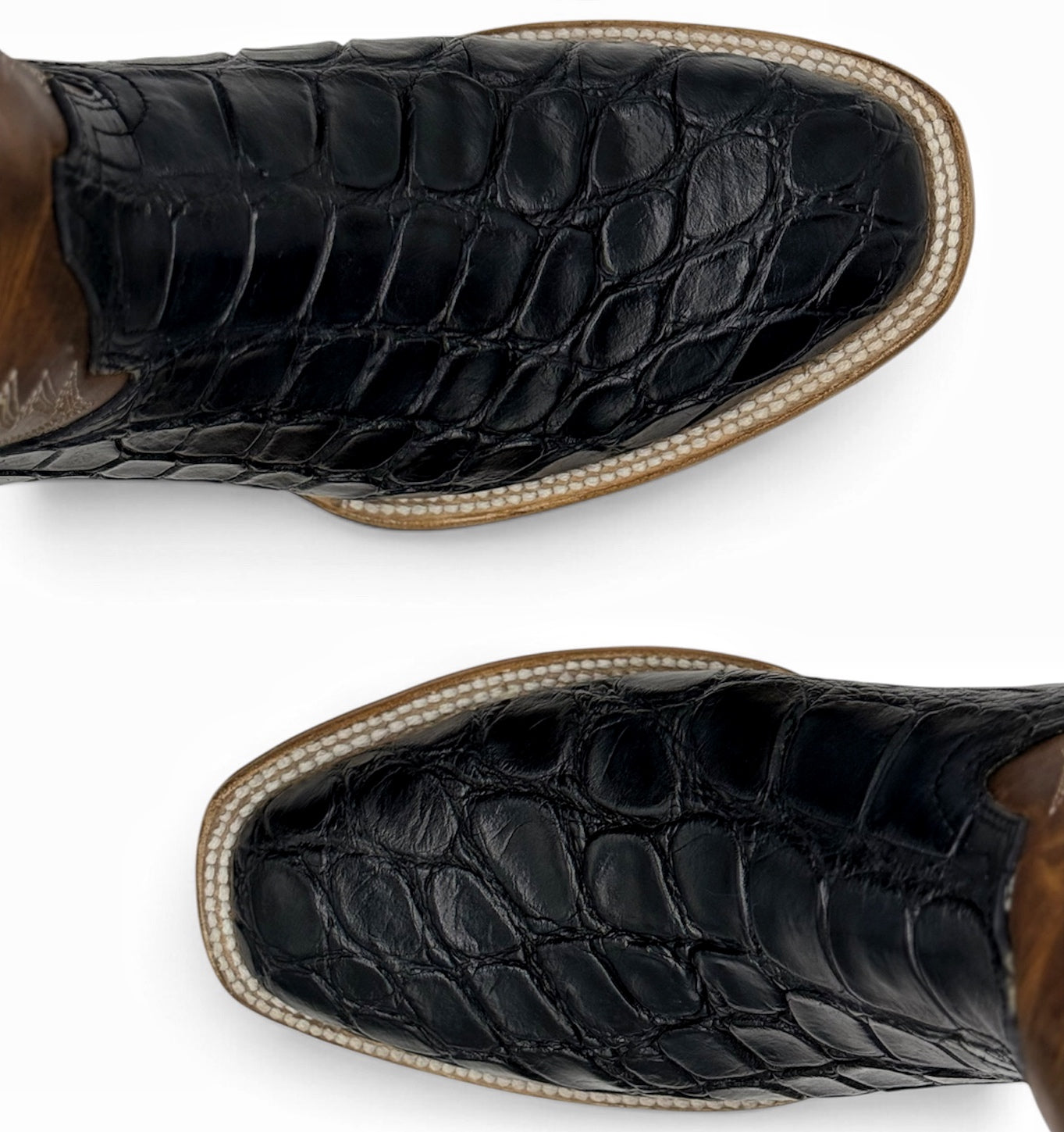 COWBOY ALLIGATOR BLACK HORMA FRANCESA