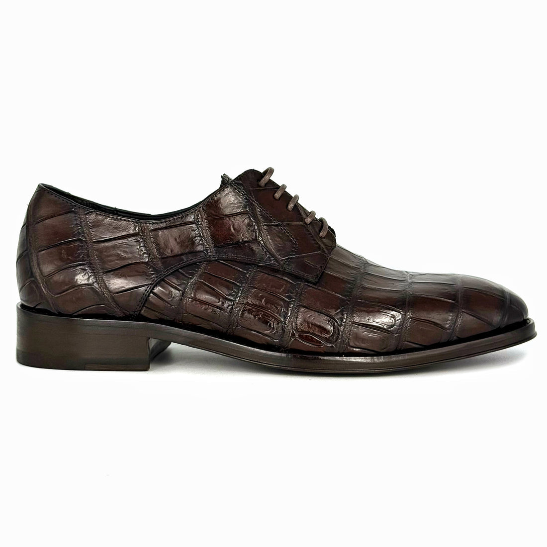 CARL ALLIGATOR BROWN