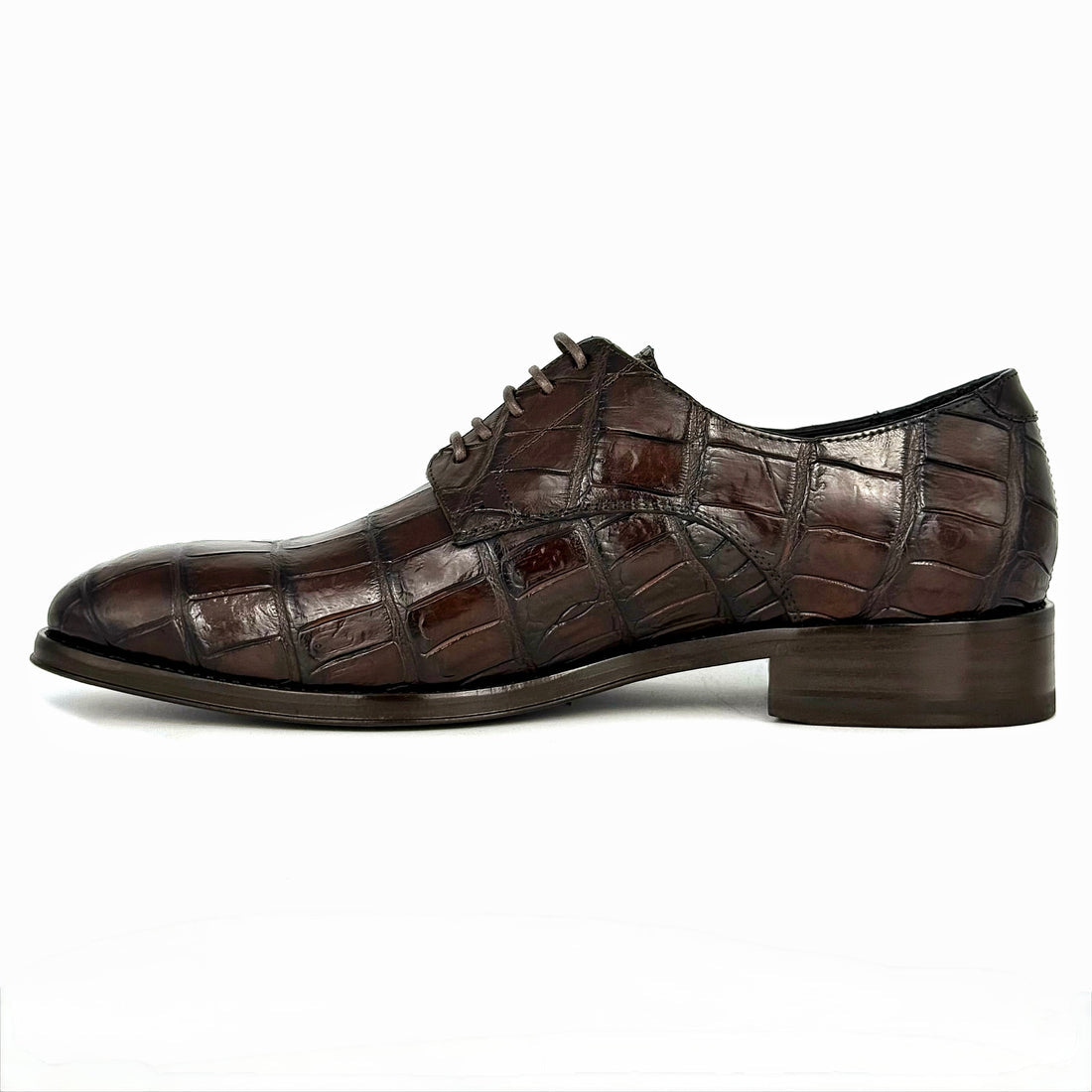 CARL ALLIGATOR BROWN