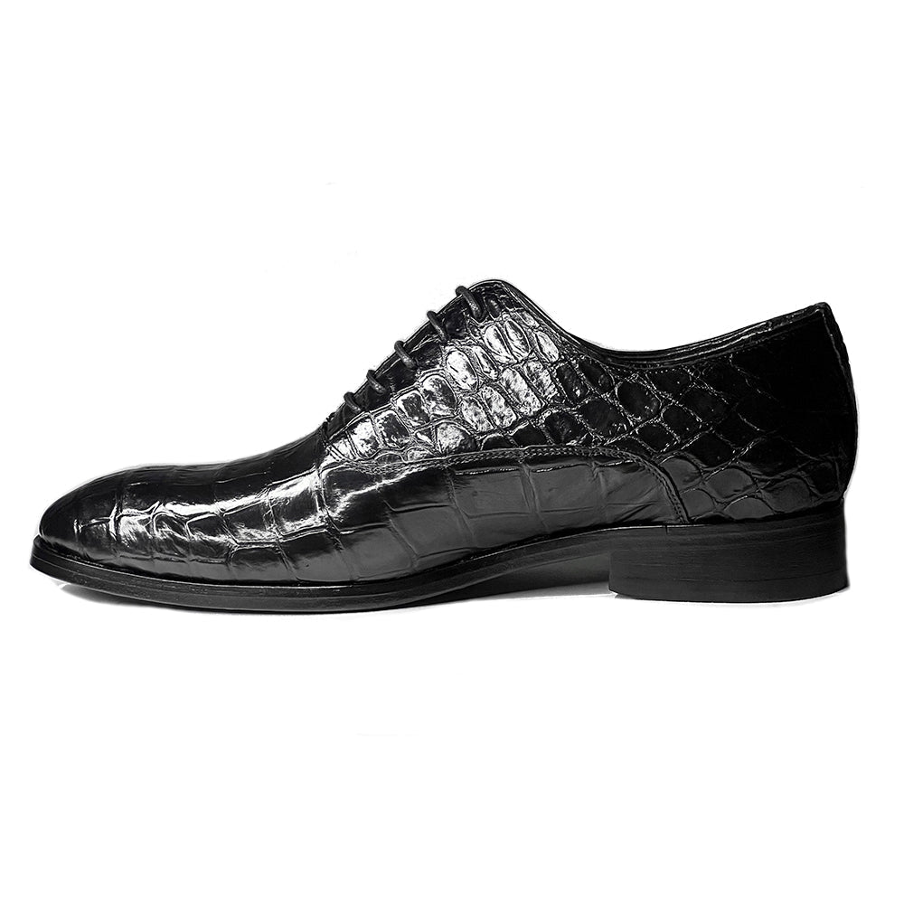 ALEXANDER COCODRILO BLACK