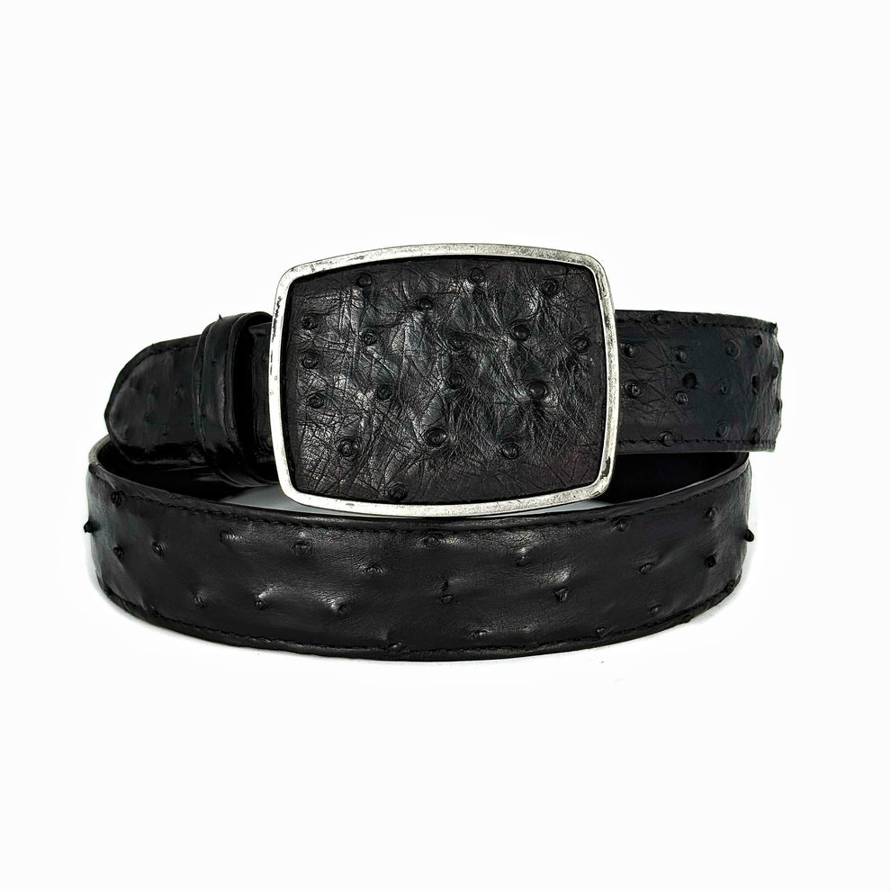 CINTÓ AVESTRUZ BLACK HEBILLA CUADRADA